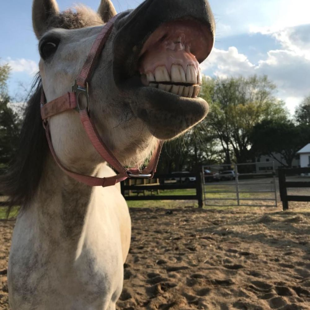 Meet your Posher, Cheryl